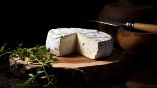 Sept raisons de manger du fromage de chèvre !