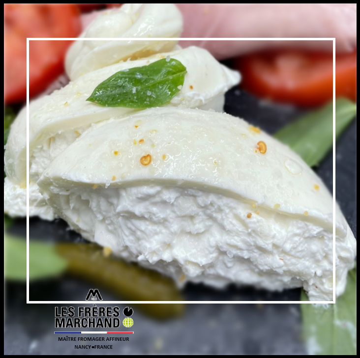 Mozzarella di burrata, burata, burratta, italien, salade, entré